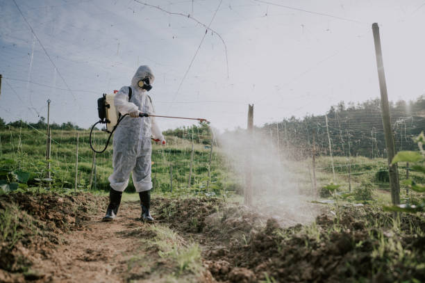 Best Mosquito Control Services  in Sconsin Rapids, WI