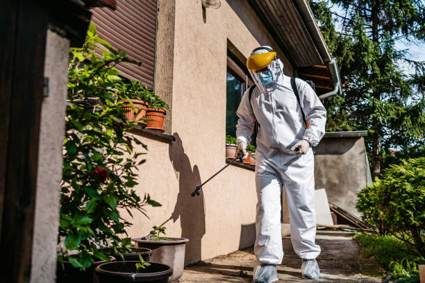 Pest Prevention Services in Wisconsin Rapids, WI