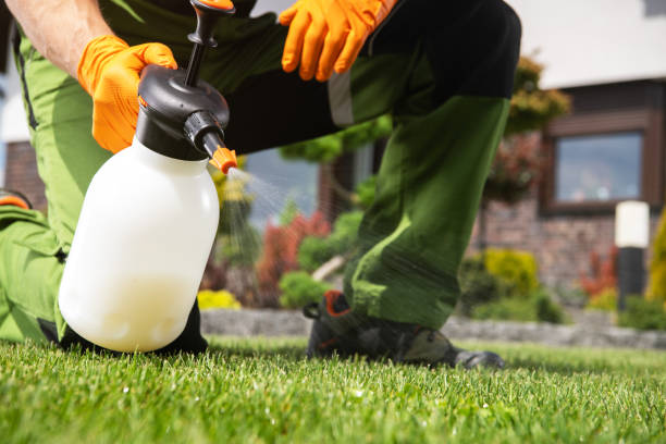 Best Pest Control Near Me in Wisconsin Rapids, WI