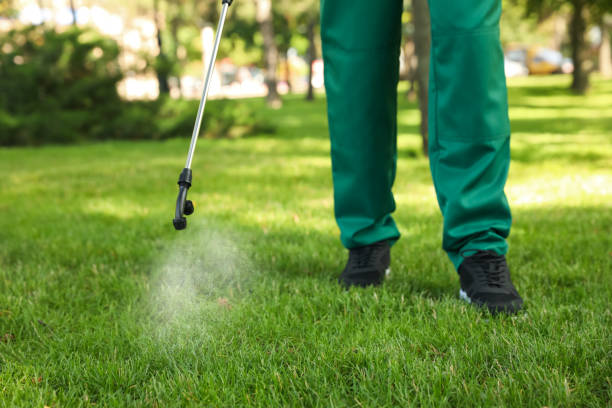 Best Local Pest Control Services  in Sconsin Rapids, WI