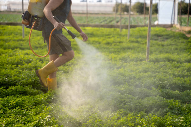 Best Local Pest Control Services  in Sconsin Rapids, WI