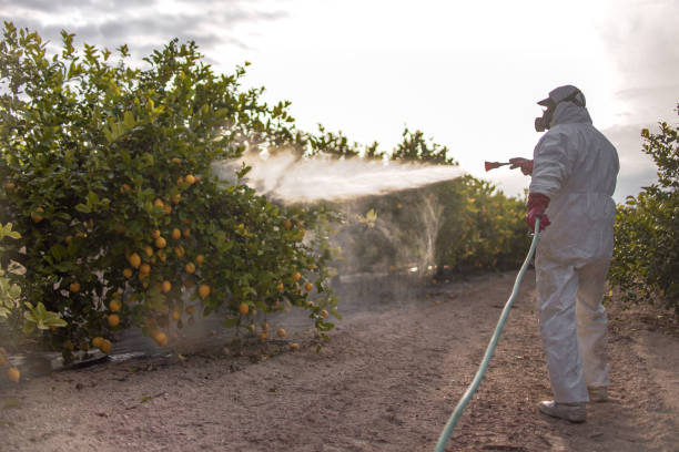 Best Pest Control for Homes  in Sconsin Rapids, WI
