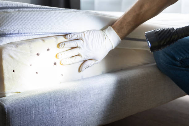 Best Cockroach Control Services  in Sconsin Rapids, WI