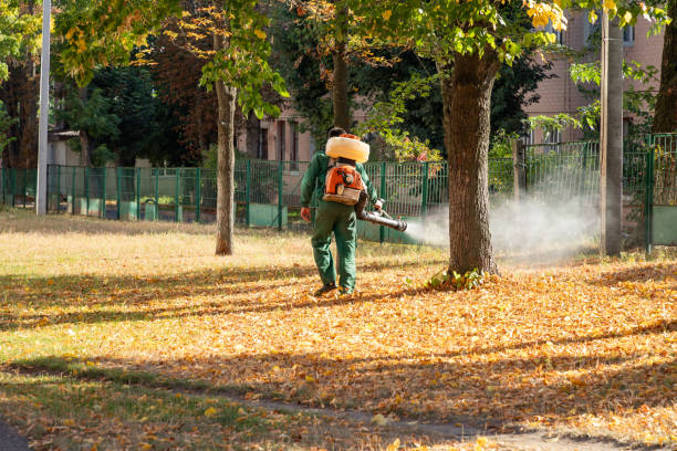 Best Wildlife Control Services  in Sconsin Rapids, WI