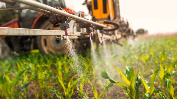 Best Pest Removal Services  in Sconsin Rapids, WI